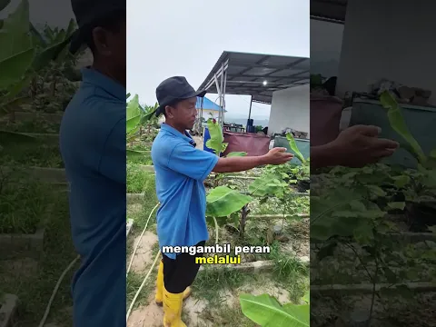 BARU SETAHUN DI REMPANG, PAK AGUS SUDAH PUNYA BANYAK USAHA!