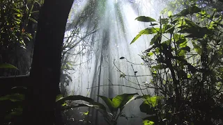 caiiro nakuru original mix 