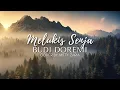MELUKIS SENJA - BUDI DOREMI (MITTY ZASIA COVER) LIRIK