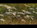 Lykke Li - I Follow Rivers (The Magician Remix) | Lyrics