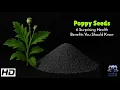 Poppy Seeds 6 Surprising Health Benefits You Should Know