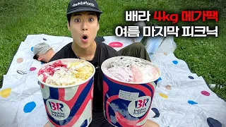 이 여름의 끝에서...배라 4kg 메가팩 피크닉