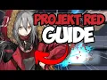 Projekt Red Guide CRAZY Good 5 Star Arknights