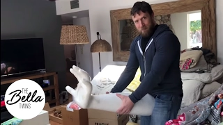 Download Bryan's reaction to Brie's new home decorations is PRICELESS (Calling all husbands!) MP3