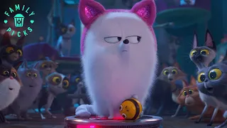gidget saves busy bee and max saves cotton the secret life of pets 2
