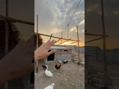 قربت أيام الشتاء بالمزرعة! 😍🌾