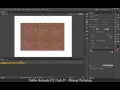 Adobe Animate Lab 27 - Bitmap Texuring