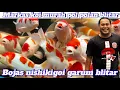 Download Lagu Markas koi murah pol polan garum blitar‼️Review harga koi di Bojas nishikigoi 