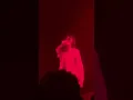 Download Lagu Sub Urban - RABBIT HOLE [Live 2022]