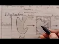 Digitization process Sampling and Quantization in digital image processing