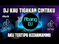 Download Lagu DJ AKU TERTIPU KEDIAMANMU REMIX VIRAL TIKTOK TERBARU 2023