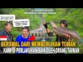 Lagu BERAWAL DARI MEMBERI IKAN TOMAN KAMI DI PERLAKUKAN BAIK OLEH ORANG TAIWAN