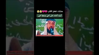 حمزه المسعودي   أريد أنشد على أمي وينها أمي دندنها