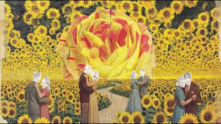                            ابو الانوار اغنية النصيب دندنها