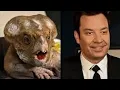 Download Lagu Jimmy Fallon Drops Jurassic World Spoof: Yee Dolores Edition!