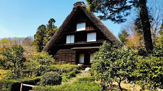 Download 【4K】Relaxing Walk in Japanese Botanical Garden (Nagoya, Japan) #ASMR MP3