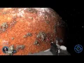 Grand Designer texture in the Source Engine