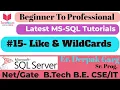 15 - How to Use LIKE and Wildcards in SQL Pattern Matching in SQL Queries