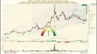 Netlist Inc NLST SpicyTrade - Daily Stock Analysis