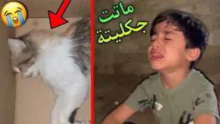 يمان يبجي على جكليتة ماتت لايكك واشتراكك يخلينه نستمر 