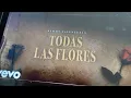 Todas las flores Remmy Valenzuela (video no oficial)