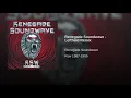 Renegade Soundwave (Leftfield Remix)