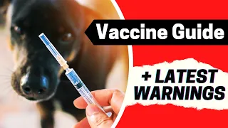 The 4 Vaccines to AVOID Veterinarian s Recommendation