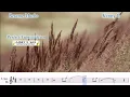 Besame Mucho (Kenny G) - Soprano Saxophone Perfect Transcription
