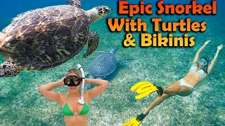 Epic Snorkel w/ Turtles & Bikinis – S6:E46
