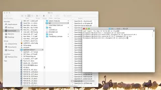 OpenSimulator Installation