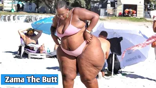 Glamorous Curvy Plus Size Model Zama The Butt  Glamorous Curvy Plus Size Model Zama The Butt
