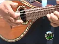 los engreidos de san  mateo (SUEÑOS DE AMOR)