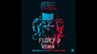 sean paul ft tory lanez tek weh yuh heart floky j remix 