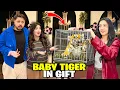 Lagu Fake Tiger Attack Prank With Api On Birthday 😱| Revenge 😁|Gold Shop mai Chori Hogai 😰?| Sistrology  