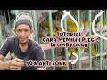 Lagu cara memilih pleci di ombyokan 90% anti zonk