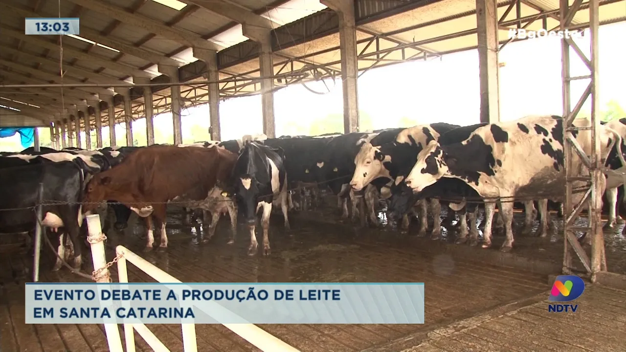 Evento em Chapecó debate a produção de leite em Santa Catarina