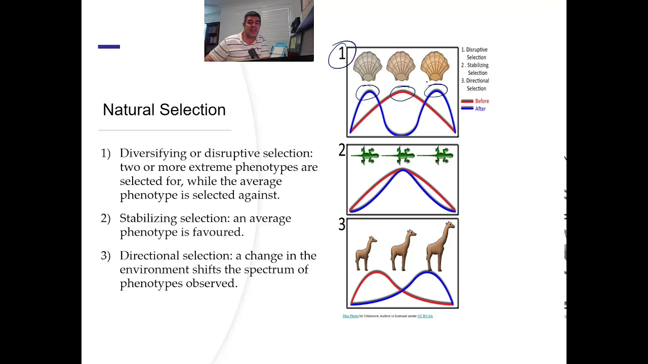 H#29 Population Genetics And Conservation