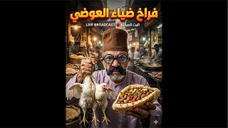 حيرة الغلبان  ناكل فراخ ولا  رجول   ضياء العوضي يفتح النار على الفاسدين  دندنها