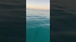 sunrises on my boat alone😍 #shorts