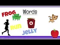 Letters Words and Sentences