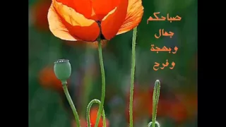 صباح الجمال 