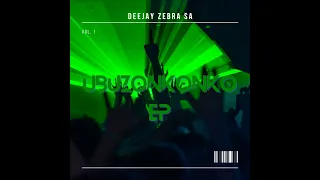03 south african story deejay zebra sa