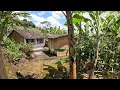 Download Lagu BELÍSSIMO SÍTIO, UM PARAÍSO NAS MONTANHAS CHEIO DE RIQUEZA E FARTURA