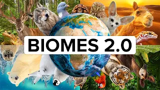 All 14 Biomes Animals Ecology UNESCO Sites