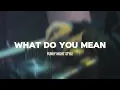 Download Lagu DJ What Do You Mean - Funky Night Style New 2025!!!