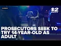 Prosecutors seek to try 14-year-old as adult in fatal Ogden crash