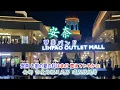 安奈~甲斐バンド (音圓43152)