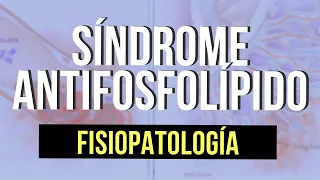 Síndrome Antifosfolípido🩸| Fisiopatología (Parte 1)🤰