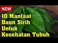 Download Lagu 10 Manfaat Daun Sirih untuk Kesehatan Tubuh