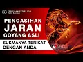 Download Lagu Inilah Amalan Doa Mantra Ilmu Pengasihan Jaran Goyang Ampuh Reaksi Cepat